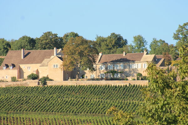 Givry-vins-vignes-septembre-cadole-OT (26).JPG