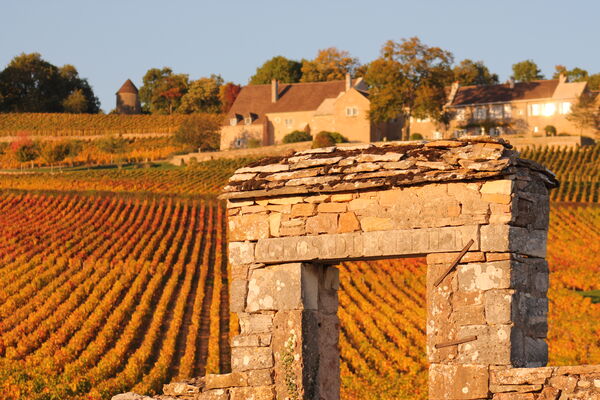 Vignes-Givry-automne-2017-JM (2).JPG