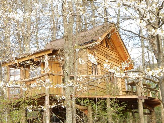 Cabane à l_orée du bois à Castelnau (2).JPG
