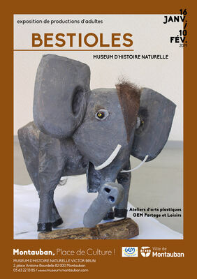 16.01.19 au 10.02.19 bestioles.jpg