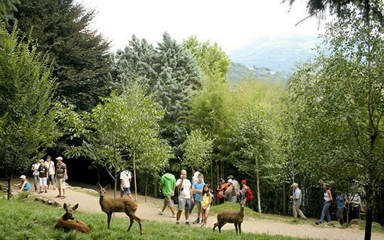 Parc biches.jpg