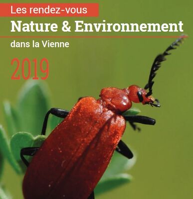 Nature_et_Environnement pour SIT.jpg