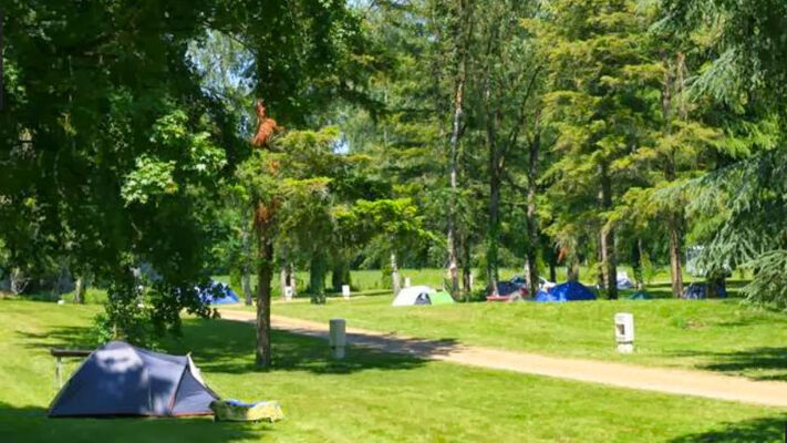 Camping Aire du Grand Pré - St Pierre de Maillé - 2016 - ©Camping Aire du Grand Pré (11).jpg