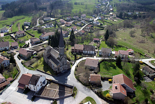 raonauxbois2.jpg
