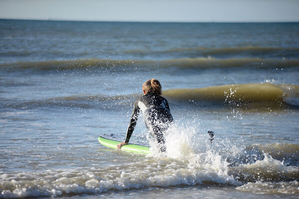 Paddle générique 2.jpg