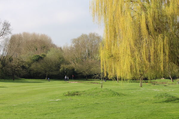 Golf 3.JPG