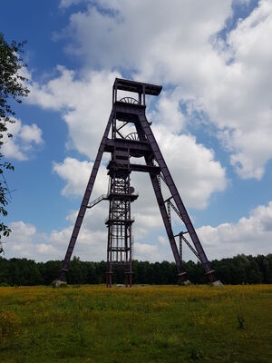 20180625_135156.jpg