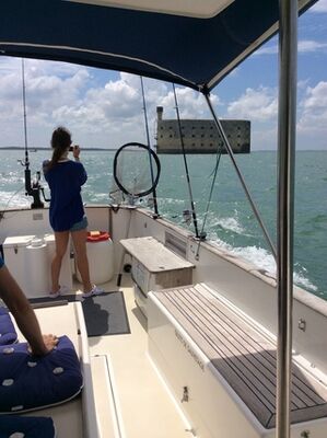 Balade-Fort-Boyard-Iledere-nautisme-ecumedere.JPG