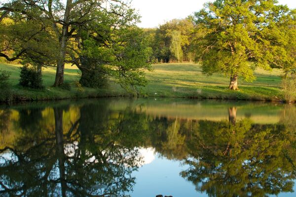 le-pin-les-roches-blanches-le-pavillon-etang.jpg