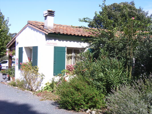 BOIS H IV 004.jpg