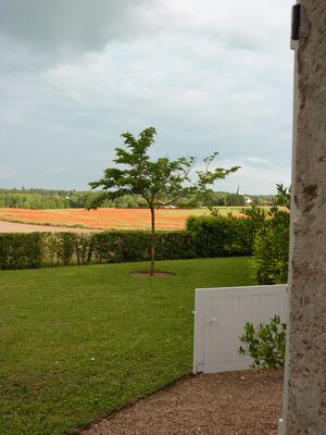 3-P1110473.JPG