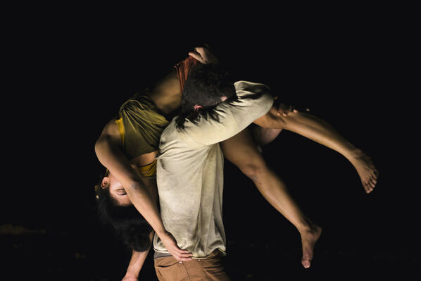 Cirque et danse Phasmes le channel.jpg