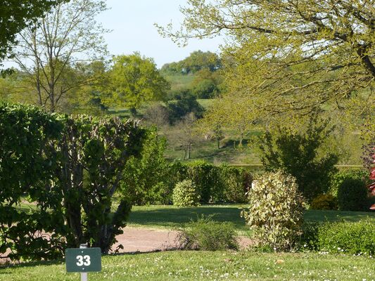 Argentonnay-camping-du-lac-dhautibus-paysage-camping-sit.jpg