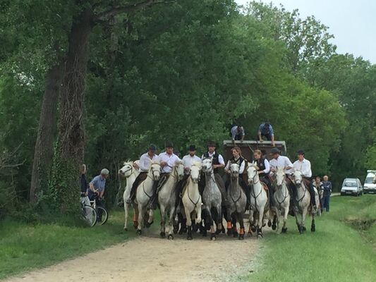 Journées-camarguaises-1024x768.jpg