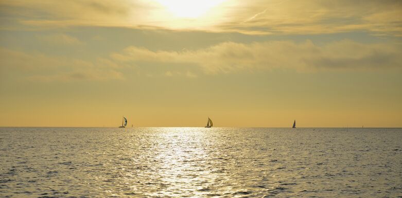 voiliers sur l'horizon