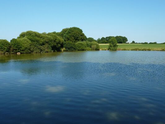 rorthais-gite-charmille-etang1©BenedicteBesnard.jpg
