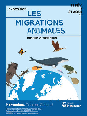 13.02.19 au 31.08.19 migrations animales.jpg