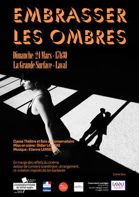 EmbrasserLesOmbres-Affiche-light.jpg