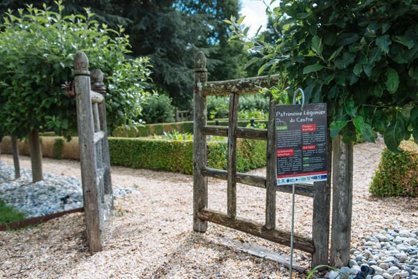 Domaine de Poulaines-9771.jpg