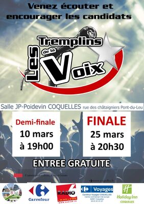 tremplinsdelavoix-mars-2017.jpg