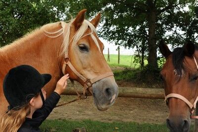 centre_equestre_hameau du nay©philippewall.JPG