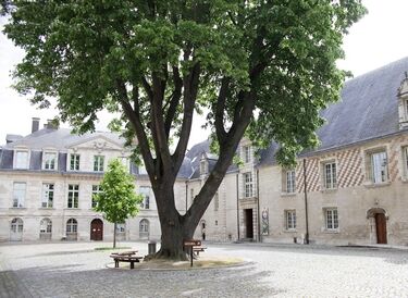 MAMCourArbre (c) A. Clergeot - Ville de Troyes OK site.jpg
