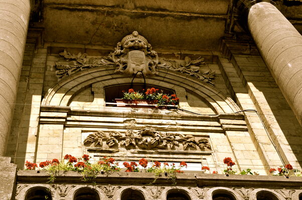 DSC_0198.JPG