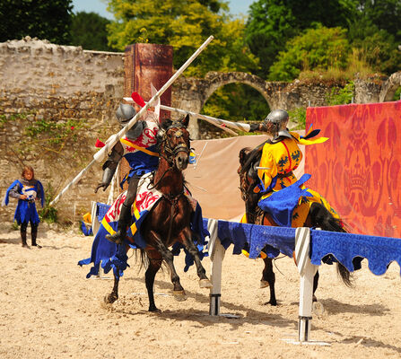 Spectacle équestre ©domaine national de Chambord - Léonard de Serres (39).jpg