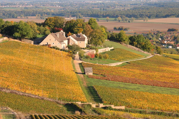 Vignes-Givry-automne-2017-JM (36).JPG