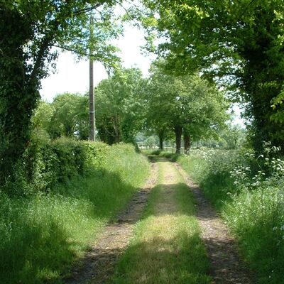 la-ronde-chemin-des-ecoliers-rando-pedestre.jpg