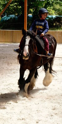 Centre_Equestre_Crinieres_Ouest_Lanvenegen (5).jpg