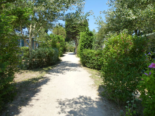 allée.JPG