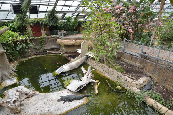 Planète des Crocodiles - Civaux - 2017 - ©Momentum Productions Mickaël Planes (1).JPG
