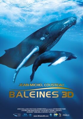 baleines en 3D.jpg