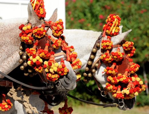 Foire aux Chevaux à Fourques3.jpg