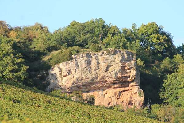 Saint-Mard-de-Vaux-falaise-radonnee-vignes-OT (3).JPG