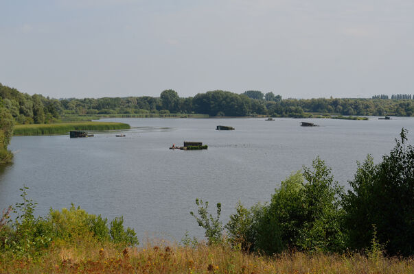 nat latourcondé_22 2016.JPG