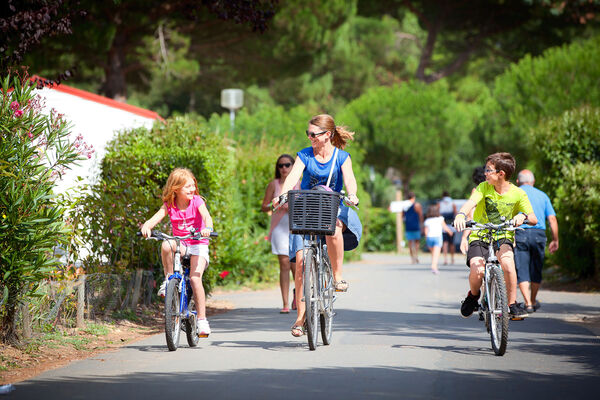 Camping-Les-Peupliers---location-de-vélo.jpg