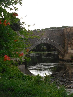 DSCN4528.JPG