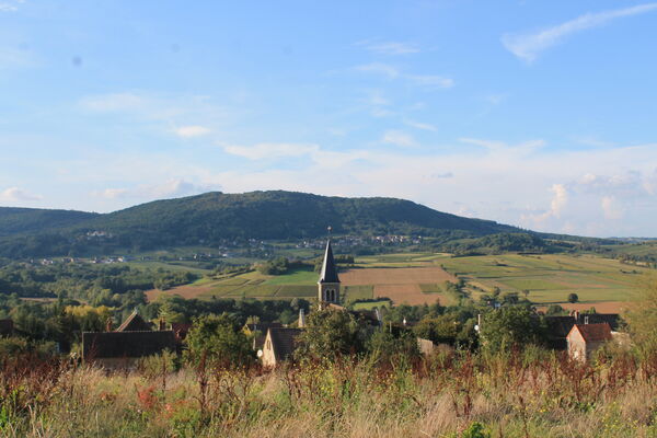 Saint-Denis-de-Vaux-Vallee-paysages-OT (8).JPG