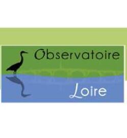 chasse aux oeufs 2.jpg