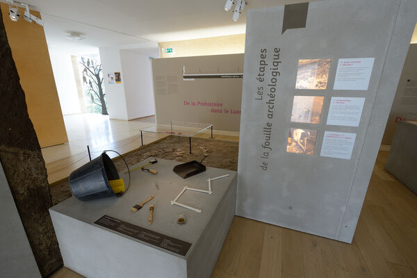Musée de la Préhistoire - Lussac les Châteaux - 2017 -©Momentum Productions Mickaël Planes (15).JPG