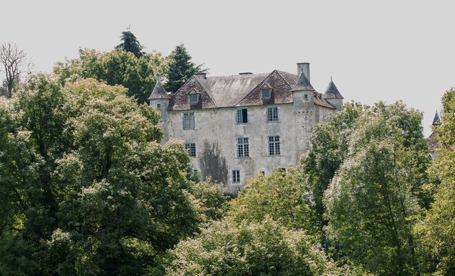 Château de Pruniers - Pindray ©Alain Buchet (3) redimensionnee.jpg