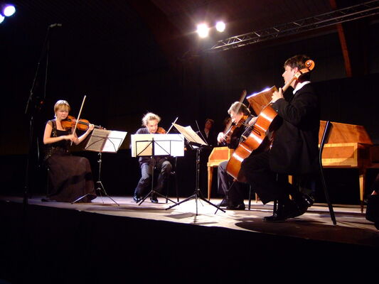 Festival_vacances_haydn_musique_chambre_La_Roche_Posay_1.JPG