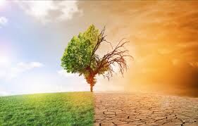 climat.jpg