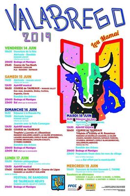 Affiche Fête de Vallabrègues.jpg