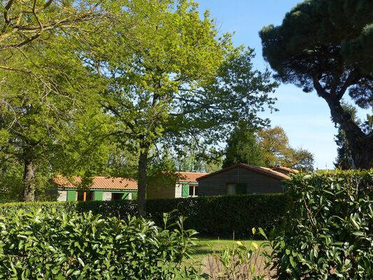 Argentonnay-camping-du-lac-dhautibus-chalets-sit.jpg