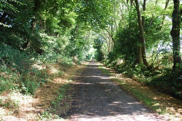 ancienne ligne chemin fer_chemin des mineurs_ferfay.jpg