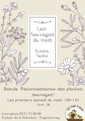 plantes.sauvage.jpg