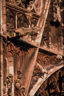 cathédrale détail gargouilles.jpg